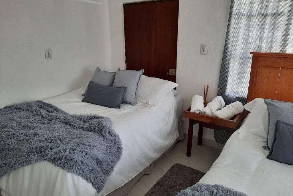 Cozy Apartment Downtown Mazatlan Bagian luar foto